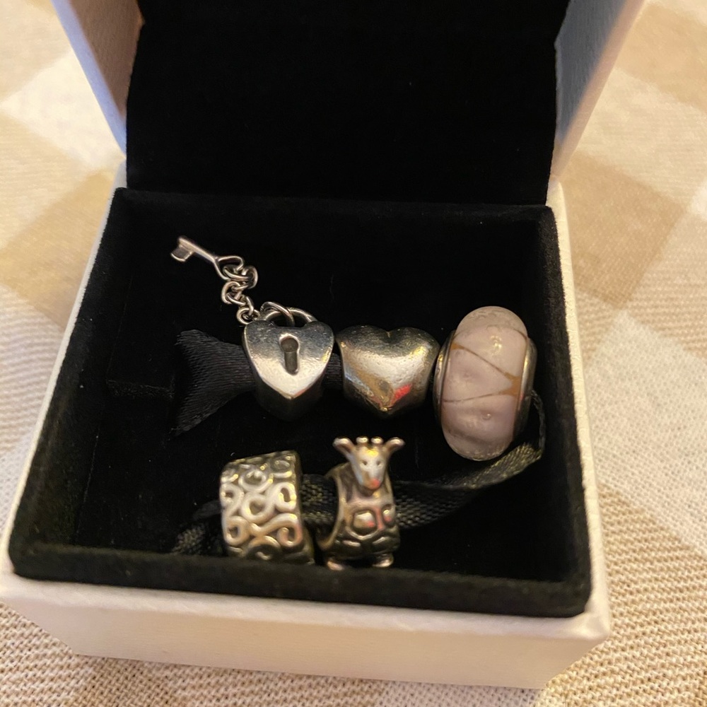 Pandora Charm Bundle - image 1